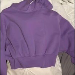 aritzia boyfriend cropped hoodie